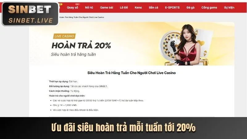 Ưu đãi độc quyền và khuyến mãi hấp dẫn